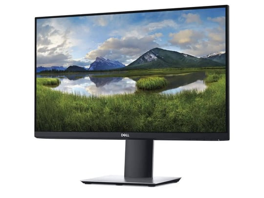 Monitor Dell Professional P2419H